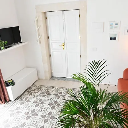 Mimosa E Agave Blu *