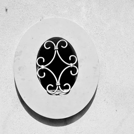 Mimosa E Agave Blu שיקלי