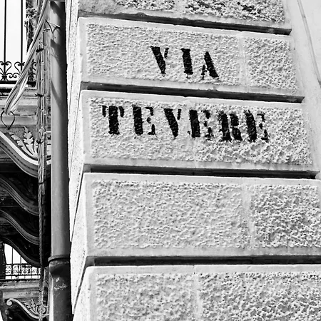 Mimosa E Agave Blu Шикли