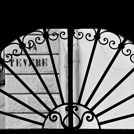 Mimosa E Agave Blu * Scicli