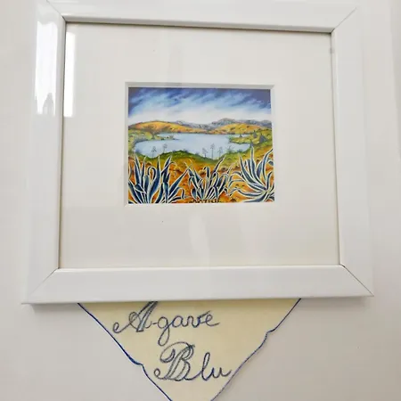 Mimosa E Agave Blu * Scicli