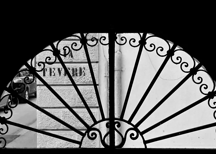 Mimosa E Agave Blu * Шикли